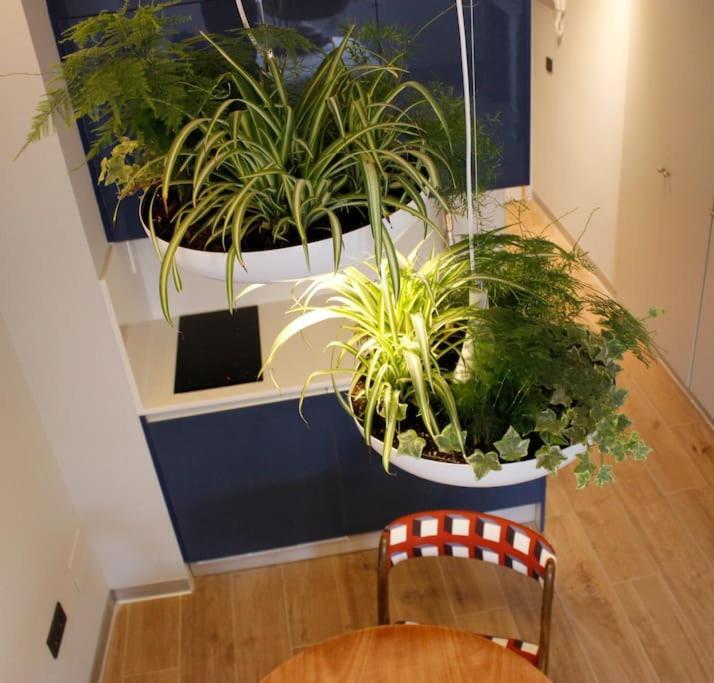 Apartamento Por Temporada Centro Diseno Madrid Exteriér fotografie