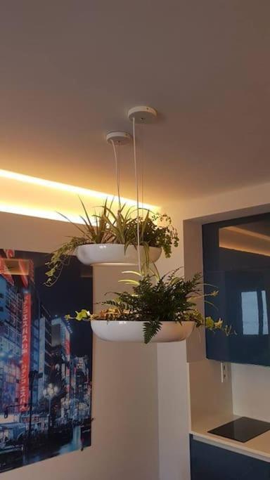 Apartamento Por Temporada Centro Diseno Madrid Exteriér fotografie
